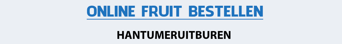 fruit-bezorgen-hantumeruitburen