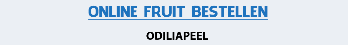 fruit-bezorgen-odiliapeel